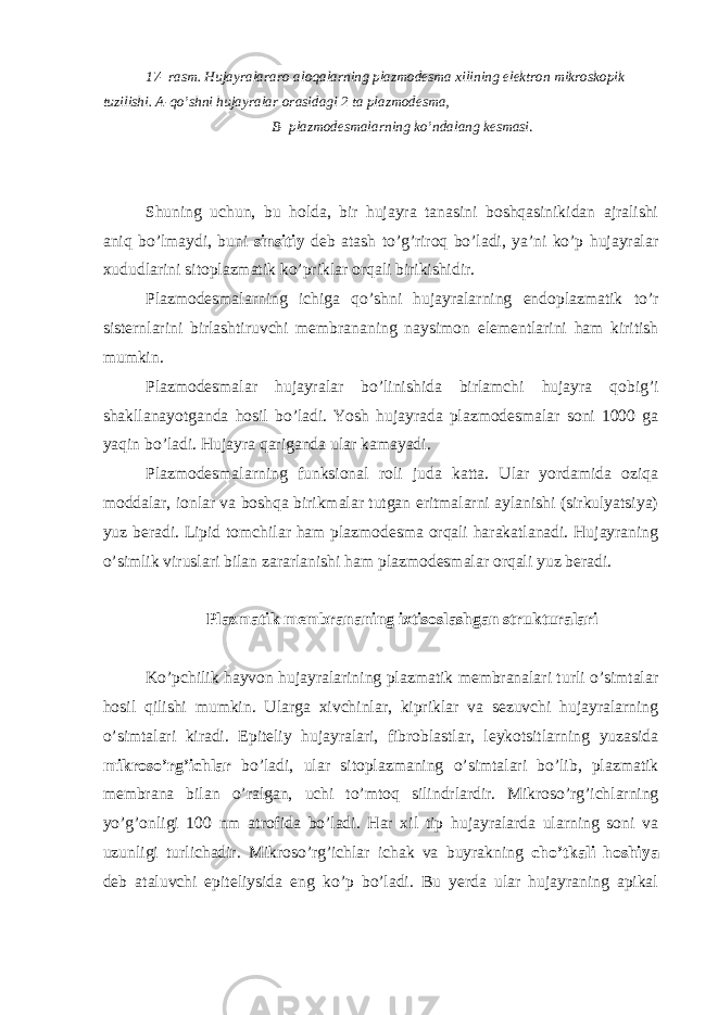 17- rasm. Hujayralararo aloqalarning plazmodesma xilining elektron mikroskopik tuzilishi. A-qo’shni hujayralar orasidagi 2 ta plazmodesma, B- plazmodesmalarning ko’ndalang kesmasi . Shuning uchun, bu holda, bir hujayra tanasini boshqasinikidan ajralishi aniq bo’lmaydi, buni sinsitiy deb atash to’g’riroq bo’ladi, ya’ni ko’p hujayralar xududlarini sitoplazmatik ko’priklar orqali birikishidir. Plazmodesmalarning ichiga qo’shni hujayralarning endoplazmatik to’r sisternlarini birlashtiruvchi membrananing naysimon elementlarini ham kiritish mumkin. Plazmodesmalar hujayralar bo’linishida birlamchi hujayra qobig’i shakllanayotganda hosil bo’ladi. Yosh hujayrada plazmodesmalar soni 1000 ga yaqin bo’ladi. Hujayra qariganda ular kamayadi. Plazmodesmalarning funksional roli juda katta. Ular yordamida oziqa moddalar, ionlar va boshqa birikmalar tutgan eritmalarni aylanishi (sirkulyatsiya) yuz beradi. Lipid tomchilar ham plazmodesma orqali harakatlanadi. Hujayraning o’simlik viruslari bilan zararlanishi ham plazmodesmalar orqali yuz beradi. Plazmatik membrananing ixtisoslashgan strukturalari Ko’pchilik hayvon hujayralarining plazmatik membranalari turli o’simtalar hosil qilishi mumkin. Ularga xivchinlar, kipriklar va sezuvchi hujayralarning o’simtalari kiradi. Epiteliy hujayralari, fibroblastlar, leykotsitlarning yuzasida mikroso’rg’ichlar bo’ladi, ular sitoplazmaning o’simtalari bo’lib, plazmatik membrana bilan o’ralgan, uchi to’mtoq silindrlardir. Mikroso’rg’ichlarning yo’g’onligi 100 nm atrofida bo’ladi. Har xil tip hujayralarda ularning soni va uzunligi turlichadir. Mikroso’rg’ichlar ichak va buyrakning cho’tkali hoshiya deb ataluvchi epiteliysida eng ko’p bo’ladi. Bu yerda ular hujayraning apikal 