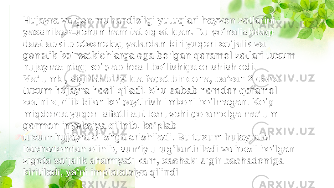 Hujayra va gen muhandisligi yutuqlari hayvon zotlarini yaxshilash uchun ham tatbiq etilgan. Bu yo‘nalishdagi dastlabki biotexnologiyalardan biri yuqori xo‘jalik va geneti ko‘rsatkichlarga ega bo‘lgan qoramol zotlari tuxum hujayrasining ko‘plab hosil bo‘lishiga erishish edi. Ma’lumki, sigirlar bir yilda faqat bir dona, ba’zan 2 dona tuxum hujayra hosil qiladi. Shu sabab nomdor qoramol zotini zudlik bilan ko‘paytirish imkoni bo‘lmagan. Ko‘p miqdorda yuqori sifatli sut beruvchi qoramolga ma’lum gormon inyeksiya qilinib, ko‘plab tuxum hujayra olishga erishiladi. Bu tuxum hujayralar bachadondan olinib, sun’iy urug‘lantiriladi va hosil bo‘lgan zigota xo‘jalik ahamiyati kam, xashaki sigir bachadoniga kiritiladi, ya’ni implantatsiya qilinadi.Hujayra va gen muhandisligi yutuqlari hayvon zotlarini yaxshilash uchun ham tatbiq etilgan. Bu yo‘nalishdagi dastlabki biotexnologiyalardan biri yuqori xo‘jalik va genetik ko‘rsatkichlarga ega bo‘lgan qoramol zotlari tuxum hujayrasining ko‘plab hosil bo‘lishiga erishish edi. Ma’lumki, sigirlar bir yilda faqat bir dona, ba’zan 2 dona tuxum hujayra hosil qiladi. Shu sabab nomdor qoramol zotini zudlik bilan ko‘paytirish imkoni bo‘lmagan. Ko‘p miqdorda yuqori sifatli sut beruvchi qoramolga ma’lum gormon inyeksiya qilinib, ko‘plab tuxum hujayra olishga erishiladi. Bu tuxum hujayralar bachadondan olinib, sun’iy urug‘lantiriladi va hosil bo‘lgan zigota xo‘jalik ahamiyati kam, xashaki sigir bachadoniga kiritiladi, ya’ni implatatsiya qilindi. 