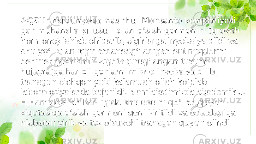 AQSHning dunyoga mashhur Monsanto kompaniyasi gen muhandisligi usuli bilan o‘sish gormonini (growth hormone) ishlab chiqarib, sigirlarga inyeksiya qildi va shu yo‘l bilan sigirlardansog‘iladigan sut miqdorini oshirishga erishdi. Zigota (urug‘langan tuxum hujayra)ga har xil genlarni mikr o inyeksiya qilib, transgen sichqon yoki kalamush olish ko‘plab laboratoriyalarda bajarildi. Mamlakatimizda akademik J. H.Hamidov rah bar ligida shu usulni qo‘llab,quyon zigotasiga o‘sish gormoni geni kiritildi va odatdagiga nisbatan yirik va tez o‘suvchi transgen quyon olindi. 