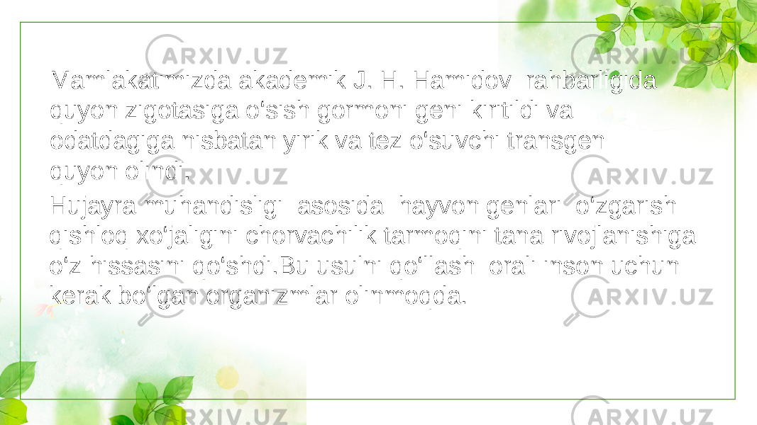 Mamlakatimizda akademik J. H. Hamidov rahbarligida quyon zigotasiga o‘sish gormoni geni kiritildi va odatdagiga nisbatan yirik va tez o‘suvchi transgen quyon olindi. Hujayra muhandisligi asosida hayvon genlari o‘zgarish qishloq xo‘jaligini chorvachilik tarmoqini tana rivojlanishiga o‘z hissasini qo‘shdi.Bu usulni qo‘llash orali inson uchun kerak bo‘lgan organizmlar olinmoqda. 