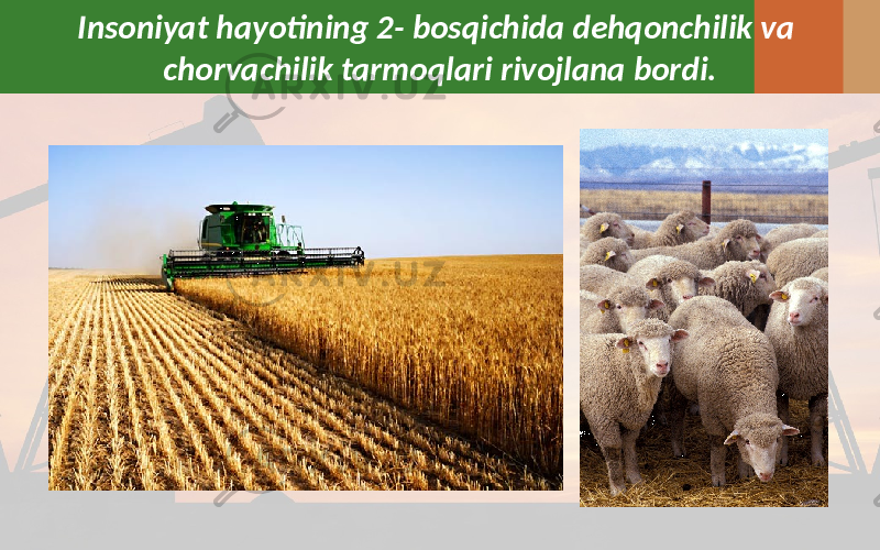 Insoniyat hayotining 2- bosqichida dehqonchilik va chorvachilik tarmoqlari rivojlana bordi. 