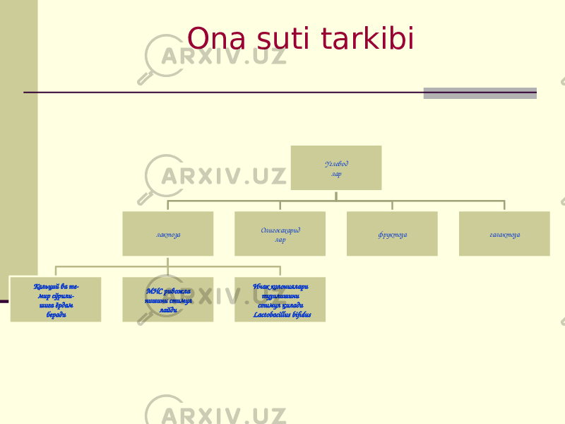 Оnа suti tаrkibi Углевод лар лактоза Кальций ва те- мир сўрили- шига ёрдам беради МНС ривожла нишини стимул лайди Ичак колониялари тузилишини стимул қилади Lactobacillus bifidus Олигосахарид лар фруктоза галактоза 