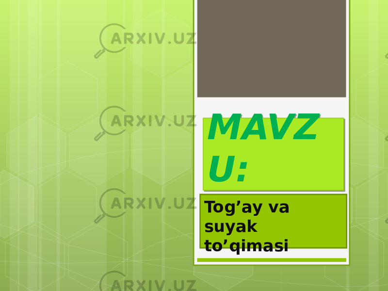 MAVZ U: Tog’ay va suyak to’qimasi 0102 0506 