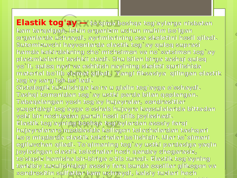 Elastik tog&#39;ay — to&#39;qima boshqa tog&#39;aylarga nisbatan kam tarqalgan, lekin organizm uchun muhim bo&#39;lgan organlarda uchraydi, ayrimlarining esa skeletini hosil qiladi. Sutemizuvchi hayvonlarda elastik tog`ay quloq suprasi hamda kekirdakning cho`michsimon va no`xatsimon tog`ay plastmkalarini tashkii etadi. Shu bilan birga tashqi quloq yo`li, quloq nayi va eshitish nayining skeleti qurilishida material bo&#39;lib xizmat qiladi. Yangi fiksasiya qilingan elastik tog&#39;ay sarg&#39;ish bo`ladi. Gistologik tuzulishiga ko&#39;ra u gialin tog&#39;ayga o&#39;xshaydi. Tashqi tomonidan tog`ay ustki parda bilan qoplangan. Tabaqalangan yosh tog&#39;ay hujayralar, xondrasitlar yuqoridagi tog&#39;ayga o&#39;xshab hujayra kapsulalarida bittadan yoki bir nechtadan guruh hosil qilib joylashadi. Elastik tog&#39;ayning boshqa tog&#39;aylardan asosiy farqi hujayralararo moddasida kollagen tolachalardan tashqari ko&#39;p miqdorda elastik tokchalar bo&#39;lishidir. Ular to`qimani egiluvchan qiladi. To&#39;qimaning tog`ay ustki pardasiga yaqin joylashgan elastik tolachalar hech qanday chegarasiz, to&#39;siqsiz hamisha bir-biriga o&#39;tib turadi. Elastik tog&#39;ayning tarkibiy tuzulishidagi asosiy farq bunda oqsillar glikogen va xondrositin sulfatlar kam uchraydi, kalsiy tuzlari hech qachon yig`ilmaydi. Shuning uchun hamma vaqt elastiklik xosasini saqlab turadi. 