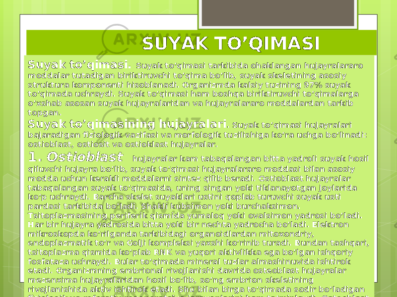  SUYAK TO’QIMASI Suyak to’qimasi. Suyak to’qimasi tarkibida ohaklangan hujayralararo moddalar tutadigan biriktiruvchi to’qima bo’lib, suyak skeletining asosiy struktura komponenti hisoblanadi. Organizmda kalsiy tuzining 97% suyak to’qimada uchraydi. Suyak to’qimasi ham boshqa biriktiruvchi to’qimalarga o’xshab asosan suyak hujayralaridan va hujayralararo moddalardan tarkib topgan. Suyak to’qimasining hujayralari . Suyak to’qimasi hujayralari bajaradigan fiziologik vazifasi va morfologik tuzilishiga ko’ra uchga bo’linadi: ostioblast, ostiosit va ostioklast hujayralar. 1. Ostioblast hujayralar kam tabaqalangan bitta yadroli suyak hosil qiluvchi hujayra bo’lib, suyak to’qimasi hujayralararo moddasi bilan asosiy modda uchun kerakli moddalarni sintez qilib beradi. Ostioblast hujayralar tabaqalangan suyak to’qimasida, uning singan yoki tiklanayotgan joylarida ko’p uchraydi. Barcha skelet suyaklari ustini qoplab turuvchi suyak usti pardasi tarkibida bo’ladi. Shakli kubsimon yoki burchaksimon. Tsitoplazmasining periferik qismida yumaloq yoki ovalsimon yadrosi bo’ladi. Har bir hujayra yadrosida bitta yoki bir nechta yadrocha bo’ladi. Elektron mikroskopda ko’rilganda tarkibidagi organoidlardan mitoxondriy, endoplazmatik to’r va Golji kompleksi yaxshi ko’rinib turadi. Bundan tashqari, tsitoplazma qismida ko’plab RNK va yuqori aktivlikka ega bo’lgan ishqoriy fosfataza uchraydi. Bular to’qimada mineral tuzlar almashinuvida ishtirok etadi. Organizmning embrional rivojlanishi davrida osteoblast hujayralar mezenxima hujayralaridan hosil bo’lib, so’ng embrion skeletining rivojlanishida aktiv ishtirok etadi. Shu bilan birga to’qimada sodir bo’ladigan fiziologik va reforativ regeneratsiya jarayonlarini ham ta’minlaydi. Osteoblast hujayralar asta-sekin ostiotsitlarga aylanishi ham mumkin. 