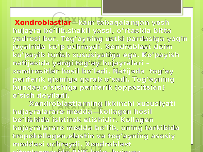  Xondroblastlar —kam tabaqalangan yosh hujayra bo’lib,shakli yassi, o’rtasida bitta yadrosi bor. Tog’ayning ustki pardasiga yaqin joyalrida ko’p uchraydi. Xondroblast doim ko’payib turish xususiyatiga ega. Ko’payish natijasida yangi tog’ay hujayralari – xondrositlar hosil bo’ladi. Natijada tog’ay periferik qismiga qarab o’sadi. Tog’ayning bunday o’sishiga periferik (oppazitsion) o’sish deyiladi. Xondroblastlarning ikkinchi xususiyati hujayralararo modda—kollagen hosil bo’lishida ishtirok etishidir. Kollagen hujayralararo modda bo’lib, uning tarkibida tropokollagen,elastin va tog’ayning asosiy moddasi uchraydi. Xondroblast sitoplazmasida RNK ko’p, hujayra organoidlari ham ko’p uchraydi. 