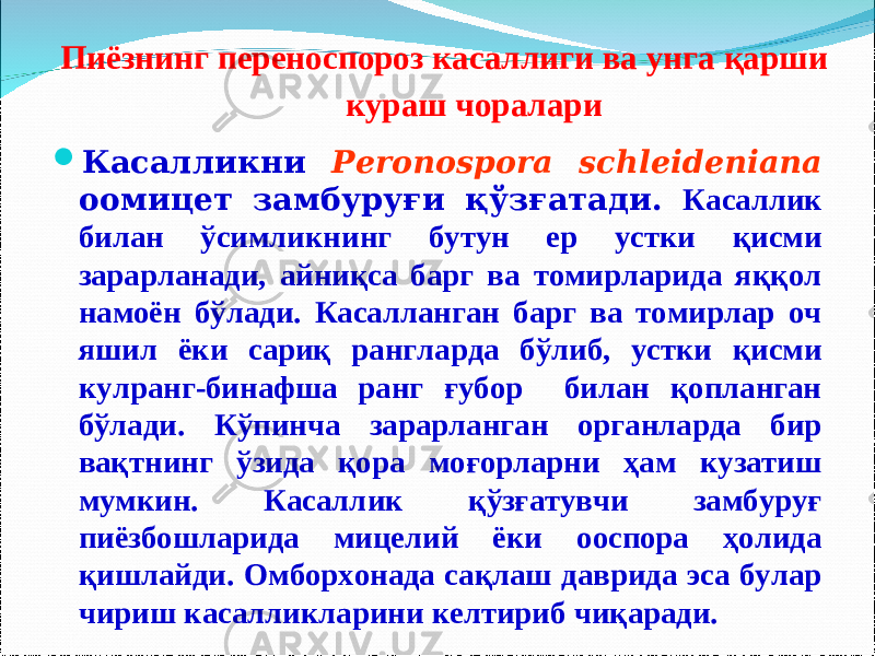  Пиёзнинг переноспороз касаллиги ва унга қарши кураш чоралари  Касалликни Peronospora schleideniana оомицет замбуруғи қўзғатади. Касаллик билан ўсимликнинг бутун ер устки қисми зарарланади, айниқса барг ва томирларида яққол намоён бўлади. Касалланган барг ва томирлар оч яшил ёки сариқ рангларда бўлиб, устки қисми кулранг-бинафша ранг ғубор билан қопланган бўлади. Кўпинча зарарланган органларда бир вақтнинг ўзида қора моғорларни ҳам кузатиш мумкин. Касаллик қўзғатувчи замбуруғ пиёзбошларида мицелий ёки ооспора ҳолида қишлайди. Омборхонада сақлаш даврида эса булар чириш касалликларини келтириб чиқаради. 