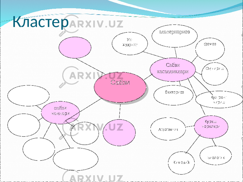 Кластер Сабзи Сабзи касалликлари Кураш чоралари Кимёвий сабзи навлари Оқ чиришфомоз бактериозУн- шудринг БиологикАгротехник альтернариоз Кул ранг чириш01 