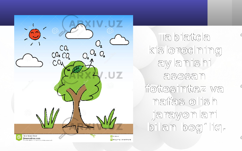 Tabiatda kislorodning aylanishi asosan fotosintez va nafas olish jarayonlari bilan bog‘liq. 