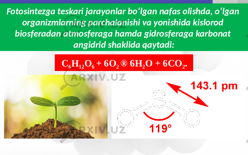 Fotosintezga teskari jarayonlar bo‘lgan nafas olishda, o‘lgan organizmlarning parchalanishi va yonishida kislorod biosferadan atmosferaga hamda gidrosferaga karbonat angidrid shaklida qaytadi: C 6 H 12 O 6 + 6O 2 ® 6H 2 O + 6CO 2 . 