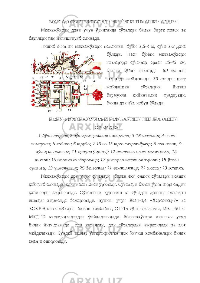 МАККАЖЎХОРИ ҲОСИЛИНИ ЙИҒИШ МАШИНАЛАРИ Маккажўхори дони учун ўрилганда сўталари билан бирга пояси ва барглари ҳам йигиштириб олинади. Пишиб етилган маккажўхори поясининг бўйи 1,5-4 м, сўта 1-3 дона бўлади. Паст бўйли маккажўхори навларида сўта-лар ердан 25-45 см, баланд бўйли навларда 60 см дан юқорида жойлашади. 30 см дан паст жойлашган сўталарни йиғиш бирмунча қийинчилик туғдиради, бунда дон кўп нобуд бўлади. КСКУ-8 МАККАЖЎХОРИ КОМБАЙИНИ ИШ ЖАРАЁНИ СХЕМАСИ 1-йўналтиргич;2-пўчоқаж-раткич аппарати; 3-16-шнеклар; 4-эгиш камераси; 5-кабина; 6-труба; 7-10 ва 13-транспортиёрлар; 8-поя илгич; 9- пўчоқ тозалагич; 11-прицеп (арава); 12-шатакка олиш мосламаси; 14- янчгич; 15-етакчи ғилдираклар; 17-роторли кесиш аппарати; 18-ўтиш оралиғи; 19-ҳимоялагич; 20-двигател; 21-вентилятор; 22-шасси; 23-жатка: Маккажўхори дон учун сўталари билан ёки олдин сўталари поядан қайириб олинади, кейин эса пояси ўрилади. Сўталари билан ўрилганда олдин қобиғидан ажратилади. Сўталарни қуритиш ва сўтадан донини ажратиш ишлари хирмонда бажарилади. Бунинг учун КОП-1,4 «Херсонец-7» ва КСКУ-8 маккажўхори йиғиш комбайни, ОП-15 сўта тозалагич, МКП-30 ва МКП-12 молотилкалардан фойдаланилади. Маккажўхори иккинчи усул билан йиғилганида поя кесилади, дон сўталардан ажратилади ва поя майдаланади. Бундай ишлар ўзгартирилган дон йиғиш комбайнлари билан амалга оширилади. 