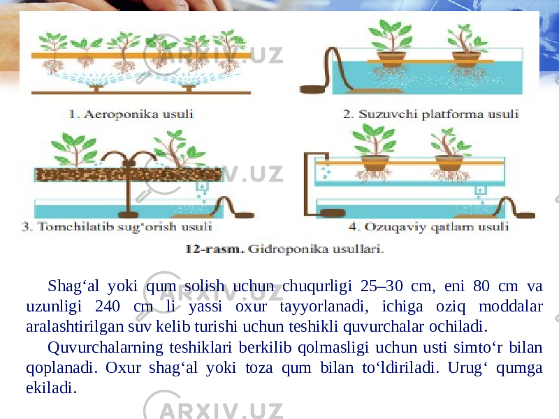 Shagʻal yoki qum solish uchun chuqurligi 25–30 cm, eni 80 cm va uzunligi 240 cm li yassi oxur tayyorlanadi, ichiga oziq moddalar aralashtirilgan suv kelib turishi uchun teshikli quvurchalar ochiladi. Quvurchalarning teshiklari berkilib qolmasligi uchun usti simtoʻr bilan qoplanadi. Oxur shag‘al yoki toza qum bilan toʻldiriladi. Urugʻ qumga ekiladi. 