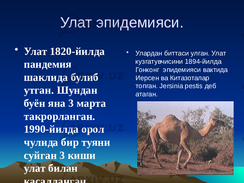 Улат эпидемияси. • Улат 1820-йилда пандемия шаклида булиб утган. Шундан буён яна 3 марта такрорланган. 1990-йилда орол чулида бир туяни суйган 3 киши улат билан касалланган. • Улардан биттаси улган. Улат кузгатувчисини 1894-йилда Гонконг эпидемияси вактида Иерсен ва Китазоталар топган. Jersinia pestis деб атаган. 