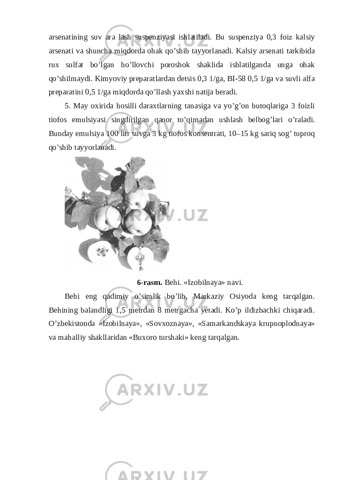 arsenatining suv ara lash suspenziyasi ishlatiladi. Bu suspenziya 0,3 foiz kalsiy arsenati va shuncha miqdorda ohak qo’shib tayyorlanadi. Kalsiy arsenati tarkibida rux sulfat bo’lgan ho’llovchi poroshok shaklida ishlatilganda unga ohak qo’shilmaydi. Kimyoviy preparatlardan detsis 0,3 1/ga, BI-58 0,5 1/ga va suvli alfa preparatini 0,5 1/ga miqdorda qo’llash yaxshi natija beradi. 5. May oxirida hosilli daraxtlarning tanasiga va yo’g’on butoqlariga 3 foizli tiofos emulsiyasi singdirilgan qanor to’qimadan ushlash belbog’lari o’raladi. Bunday emulsiya 100 litr suvga 3 kg tiofos konsentrati, 10–15 kg sariq sog’ tuproq qo’shib tayyorlanadi. 6-rasm. Behi. «Izobilnaya» navi. Behi eng qadimiy o’simlik bo’lib, Markaziy Osiyoda keng tarqalgan. Behining balandligi 1,5 metrdan 8 metrgacha yetadi. Ko’p ildizbachki chiqaradi. O’zbekistonda «Izobilnaya», «Sovxoznaya», «Samarkandskaya krupnoplodnaya» va mahalliy shakllaridan «Buxoro turshaki» keng tarqalgan. 