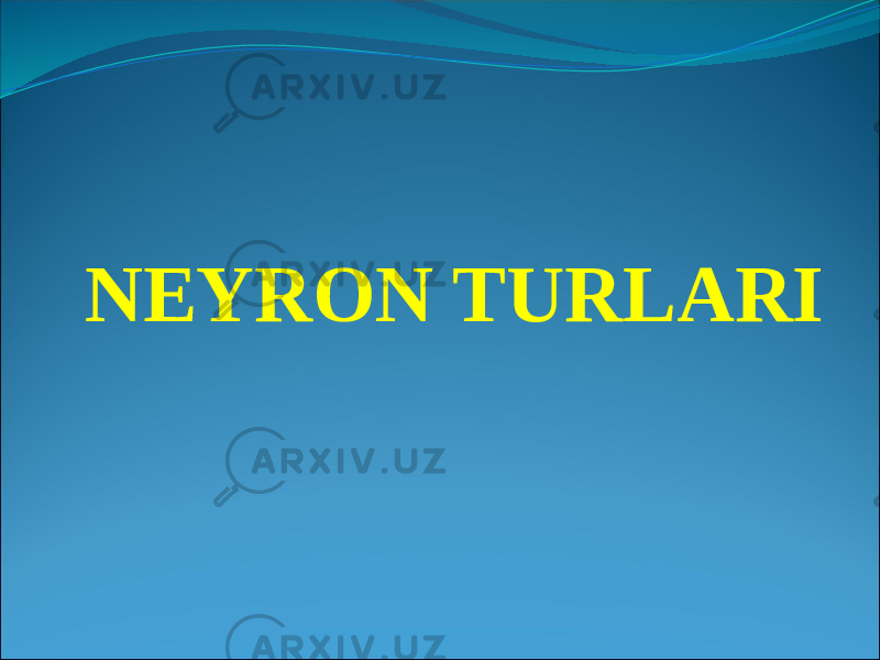 NEYRON TURLARI 