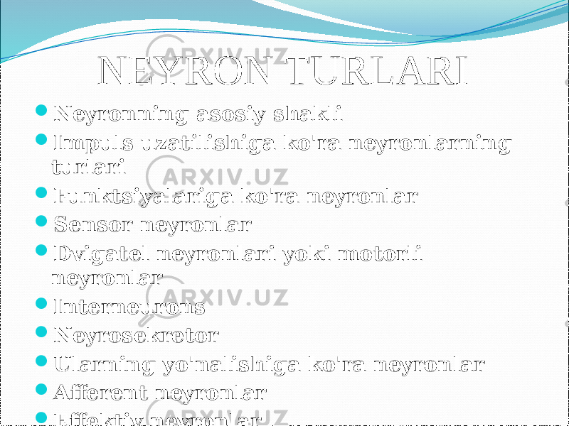 NEYRON TURLARI  Neyronning asosiy shakli  Impuls uzatilishiga ko&#39;ra neyronlarning turlari  Funktsiyalariga ko&#39;ra neyronlar  Sensor neyronlar  Dvigatel neyronlari yoki motorli neyronlar  Interneurons  Neyrosekretor  Ularning yo&#39;nalishiga ko&#39;ra neyronlar  Afferent neyronlar  Effektiv neyronlar 