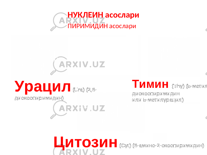 НУКЛЕИН асослари ПИРИМИДИН асослари Урацил ( Ura ) ( 2 , 6 - диоксопиримидин) Тимин ( Thy ) (5-метил-2, 6 - диоксопиримидин или 5-метилурацил) Цитозин ( Cyt ) ( 6-амино-2-оксопиримидин) 