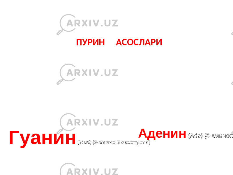 ПУРИН АСОСЛАРИ Гуанин ( Gua ) ( 2-амино-6-оксопурин) Аденин ( Ade ) (6-аминопурин) 