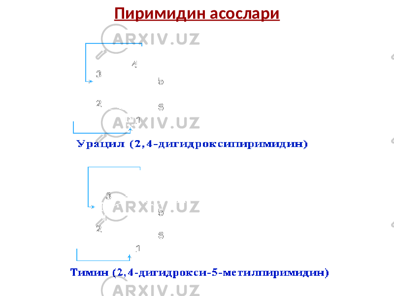 Пиримидин асослари 1 654 3 2 4 12 3 5 6 