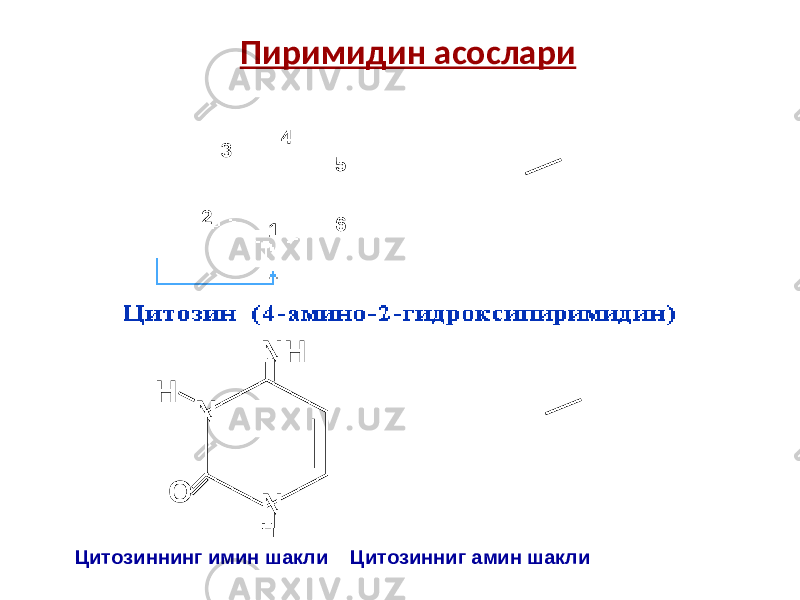  Пиримидин асослари NH O NH N H Цитозиннинг имин шакли Цитозинниг амин шакли 2 13 4 5 6 