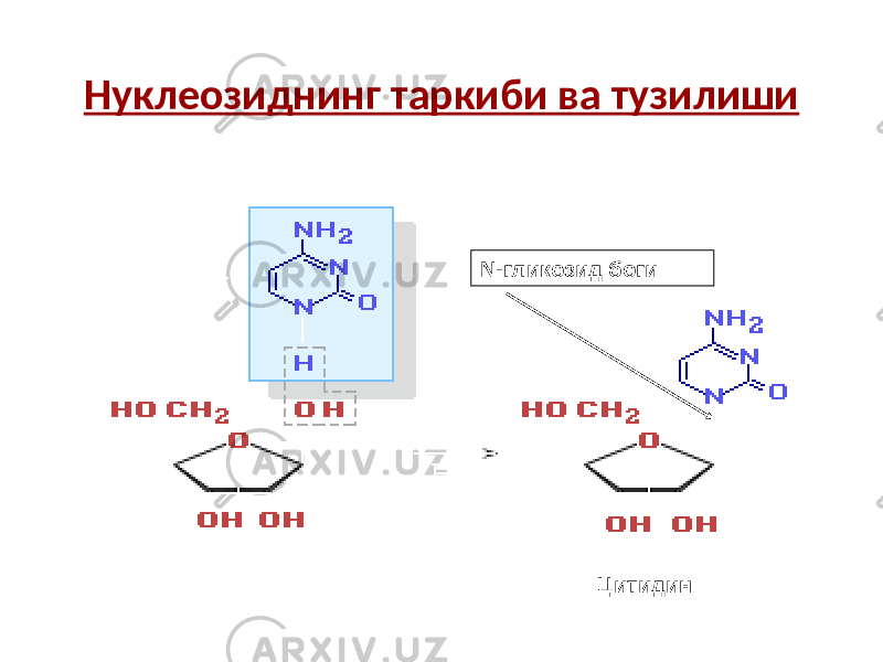 Нуклеозиднинг таркиби ва тузилиши ЦитидинN -гликозид боги 