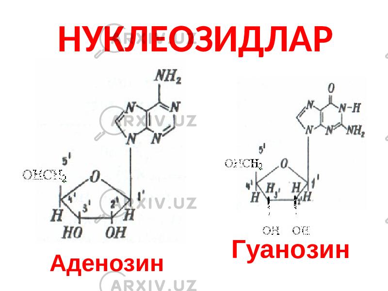 НУКЛЕОЗИДЛАР Аденозин Гуанозин 