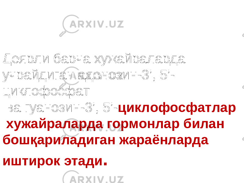 Деярли барча хужайраларда учрайдиган аденозин-3’, 5’- циклофосфат ва гуанозин-3’, 5’- циклофосфатлар хужайраларда гормонлар билан бошқариладиган жараёнларда иштирок этади . 