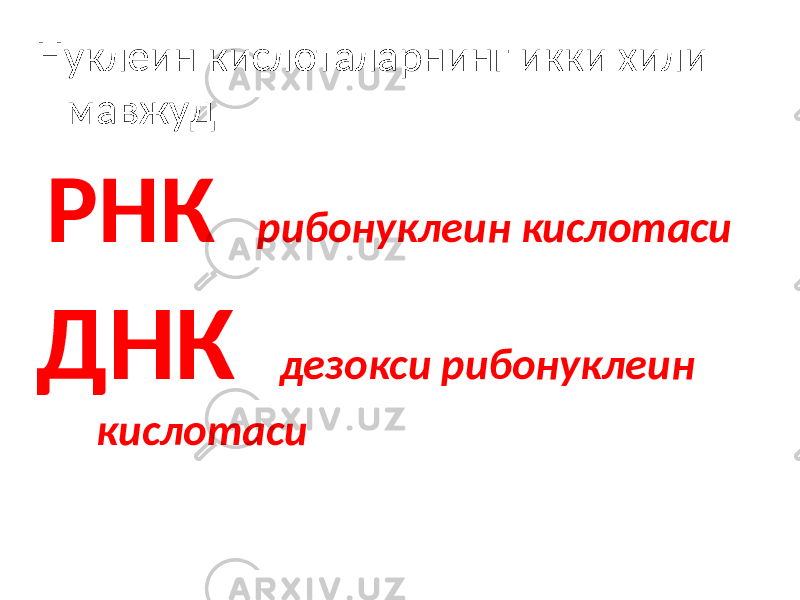 Нуклеин кислоталарнинг икки хили мавжуд РНК рибонуклеин кислотаси ДНК дезокси рибонуклеин кислотаси 