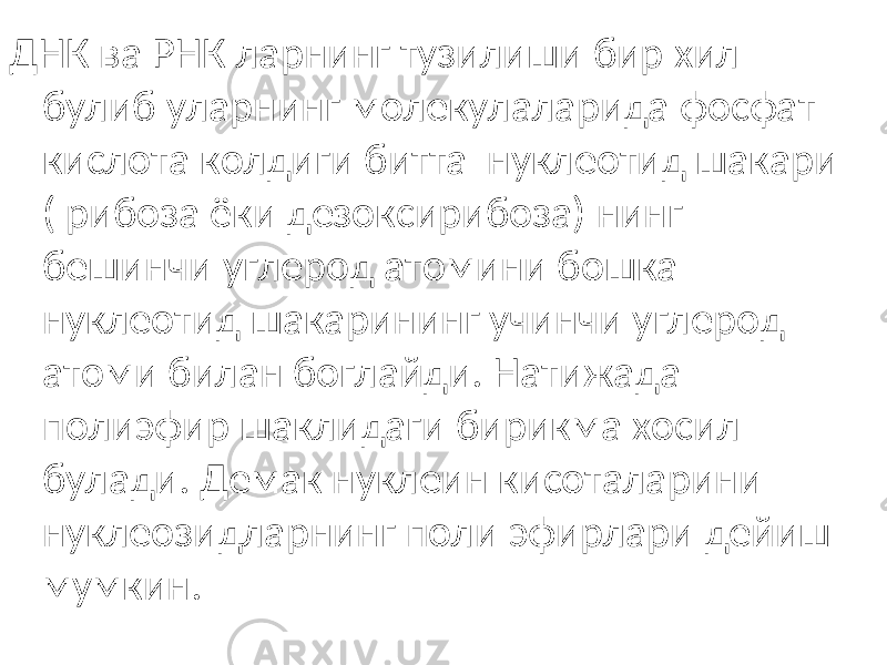 ДНК ва РНК ларнинг тузилиши бир хил булиб уларнинг молекулаларида фосфат кислота колдиги битта нуклеотид шакари ( рибоза ёки дезоксирибоза) нинг бешинчи углерод атомини бошка нуклеотид шакарининг учинчи углерод атоми билан боглайди. Натижада полиэфир шаклидаги бирикма хосил булади. Демак нуклеин кисоталарини нуклеозидларнинг поли эфирлари дейиш мумкин. 