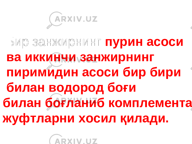  Бир занжирнинг пурин асоси ва иккинчи занжирнинг пиримидин асоси бир бири билан водород боғи билан боғланиб комплементар жуфтларни хосил қилади. 