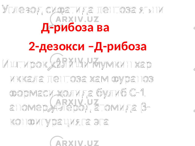 Углевод сифатида пентоза яъни Д-рибоза ва 2-дезокси –Д-рибоза Иштирок килиши мумкин хар иккала пентоза хам фураноз формаси холида булиб С-1 аномер углерод атомида β - конфигурацияга эга 