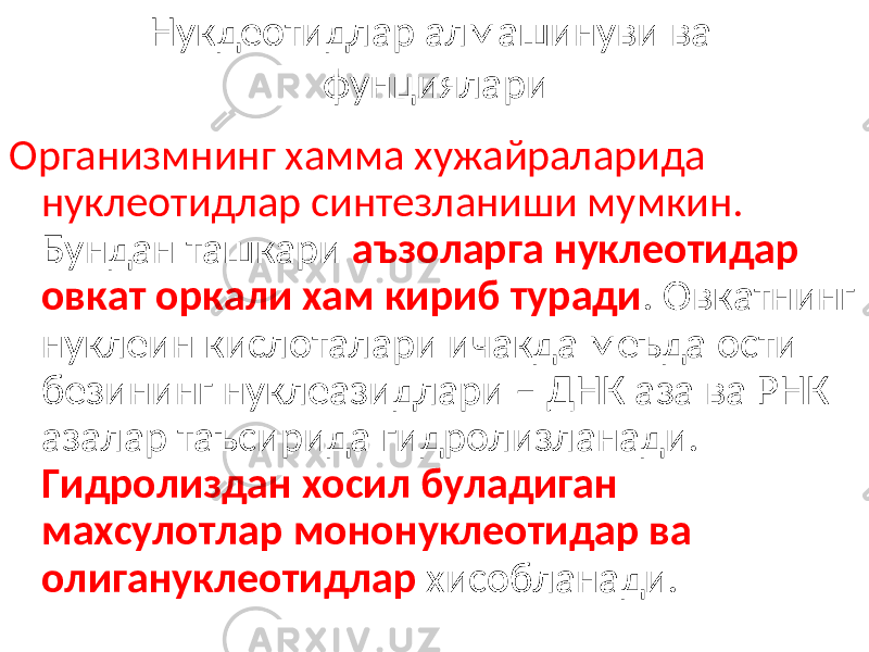 Нукдеотидлар алмашинуви ва фунциялари Организмнинг хамма хужайраларида нуклеотидлар синтезланиши мумкин. Бундан ташкари аъзоларга нуклеотидар овкат оркали хам кириб туради . Овкатнинг нуклеин кислоталари ичакда меъда ости безининг нуклеазидлари – ДНК аза ва РНК азалар таъсирида гидролизланади. Гидролиздан хосил буладиган махсулотлар мононуклеотидар ва олигануклеотидлар хисобланади. 