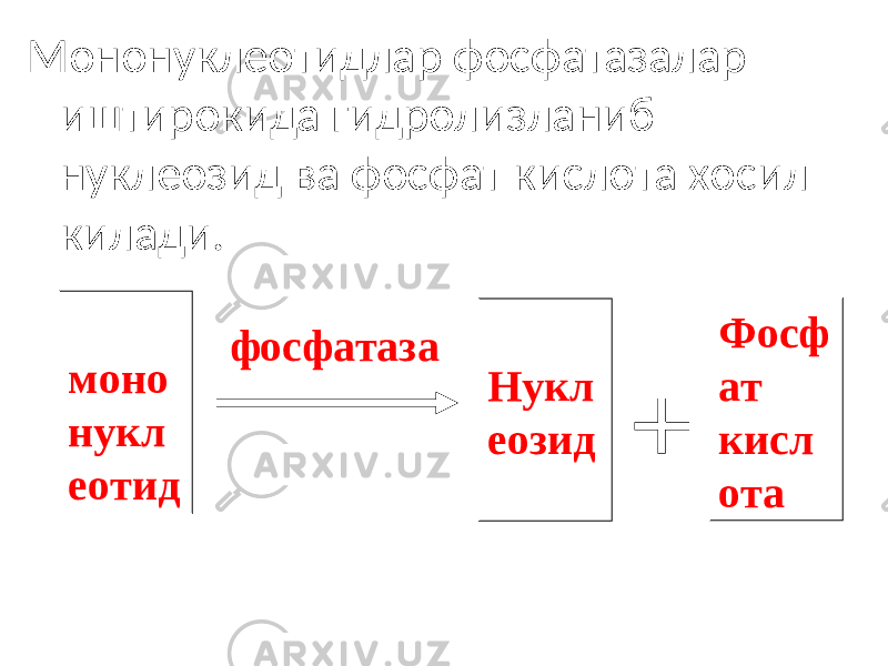 Мононуклеотидлар фосфатазалар иштирокида гидролизланиб нуклеозид ва фосфат кислота хосил килади. моно нукл еотид Нукл еозид Фосф ат кисл ота+фосфатаза 