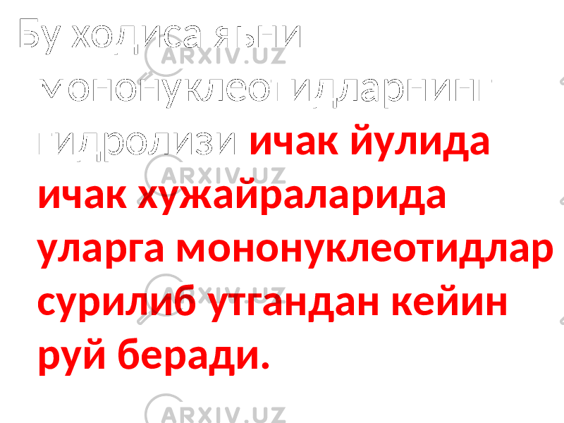 Бу ходиса яьни мононуклеотидларнинг гидролизи ичак йулида ичак хужайраларида уларга мононуклеотидлар сурилиб утгандан кейин руй беради. 