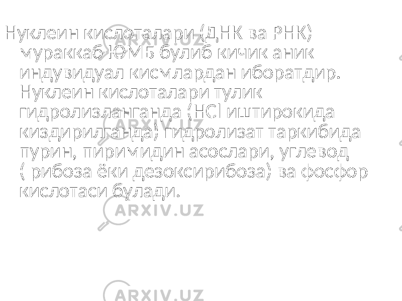 Нуклеин кислоталари (ДНК ва РНК) мураккаб ЮМБ булиб кичик аник индувидуал кисмлардан иборатдир. Нуклеин кислоталари тулик гидролизланганда ( НС l иштирокида киздирилганда ) гидролизат таркибида пурин, пиримидин асослари, углевод ( рибоза ёки дезоксирибоза) ва фосфор кислотаси булади. 