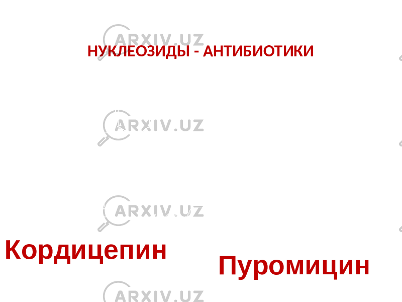 НУКЛЕОЗИДЫ - АНТИБИОТИКИ Кордицепин Пуромицин 