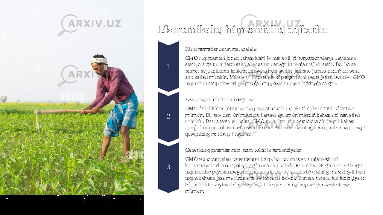 Ekonomikalıq hám sociallıq aqibetler Kishi fermerler ushın mashqalalar GMO tuqımlarınıń joqarı bahası kishi fermerlerdi iri korporaciyalarga baylanıslı etedi, olarǵa tuqımlardı satıp alıw ushın qarızǵa barıwǵa májbúr etedi. Bul bolsa fermer xojalıqlarınıń bankrot bolıwına hám awıllıq jerlerde jumıssızlıqtıń artıwına alıp keliwi múmkin. Máselen, Hindstanda kóplegen kishi paxta jetistiriwshiler GMO tuqımların satıp alıw ushın qarızǵa batıp, ózlerin qıyın jaǵdayǵa salgan. Azıq-awqat bahalarınıń ózgeriwi GMO ósimliklerin jetistiriw azıq-awqat bahalarına eki tárepleme tásir kórsetiwi múmkin. Bir tárepten, ónimdarlıqtıń artıwı ayırım ónimlerdiń bahasın tómenletiwi múmkin. Basqa tárepten bolsa, GMO tuqımları hám pesticidlerdiń joqarı bahası aqırǵı ónimniń bahasın arttırıwı múmkin. Bul bolsa kámbaǵal xalıq ushın azıq-awqat qáwipsizligine qáwip tuwdıradı. Genetikalıq patentler hám monopolistlik tendenciyalar GMO texnologiyaları patentlengen bolıp, bul tuqım islep shıǵarıwshı iri korporaciyalardı monopoliya jaǵdayına alıp keledi. Fermerler tek ǵana patentlengen tuqımlardan paydalanıwǵa májbúr boladı, bul bolsa olardıń erkinligin shekleydi hám tuqım bahasın jasalma túrde arttırıw imkanın beredi. Bunnan tısqarı, bul biologiyalıq hár túrlilikti azaytıwı hám azıq-awqat támiynatınıń qáwipsizligin ázzilestiriwi múmkin. 