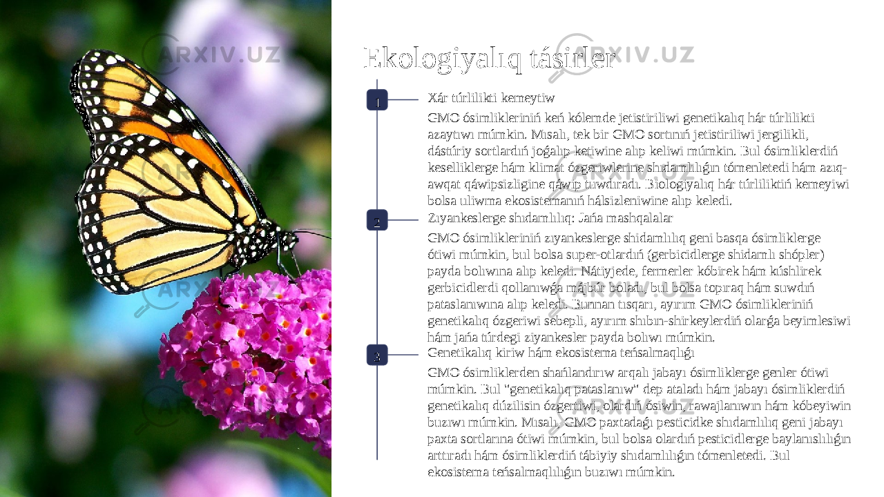 Ekologiyalıq tásirler 1 Xár túrlilikti kemeytiw GMO ósimlikleriniń keń kólemde jetistiriliwi genetikalıq hár túrlilikti azaytıwı múmkin. Mısalı, tek bir GMO sortınıń jetistiriliwi jergilikli, dástúriy sortlardıń joǵalıp ketiwine alıp keliwi múmkin. Bul ósimliklerdiń keselliklerge hám klimat ózgeriwlerine shıdamlılıǵın tómenletedi hám azıq- awqat qáwipsizligine qáwip tuwdıradı. Biologiyalıq hár túrliliktiń kemeyiwi bolsa uliwma ekosistemanıń hálsizleniwine alıp keledi. 2 Zıyankeslerge shıdamlılıq: Jańa mashqalalar GMO ósimlikleriniń zıyankeslerge shidamlılıq geni basqa ósimliklerge ótiwi múmkin, bul bolsa super-otlardıń (gerbicidlerge shidamlı shópler) payda bolıwına alıp keledi. Nátiyjede, fermerler kóbirek hám kúshlirek gerbicidlerdi qollanıwǵa májbúr boladı, bul bolsa topıraq hám suwdıń pataslanıwına alıp keledi. Bunnan tısqarı, ayırım GMO ósimlikleriniń genetikalıq ózgeriwi sebepli, ayırım shıbın-shirkeylerdiń olarǵa beyimlesiwi hám jańa túrdegi ziyankesler payda bolıwı múmkin. 3 Genetikalıq kiriw hám ekosistema teńsalmaqlıǵı GMO ósimliklerden shańlandırıw arqalı jabayı ósimliklerge genler ótiwi múmkin. Bul &#34;genetikalıq pataslanıw&#34; dep ataladı hám jabayı ósimliklerdiń genetikalıq dúzilisin ózgertiwi, olardıń ósiwin, rawajlanıwın hám kóbeyiwin buzıwı múmkin. Mısalı, GMO paxtadaǵı pesticidke shıdamlılıq geni jabayı paxta sortlarına ótiwi múmkin, bul bolsa olardıń pesticidlerge baylanıslılıǵın arttıradı hám ósimliklerdiń tábiyiy shıdamlılıǵın tómenletedi. Bul ekosistema teńsalmaqlılıǵın buzıwı múmkin. 