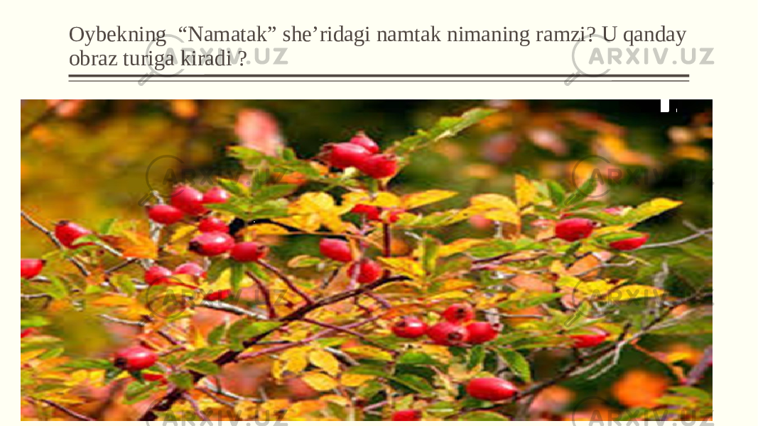 Oybekning “Namatak” she’ridagi namtak nimaning ramzi? U qanday obraz turiga kiradi ? 