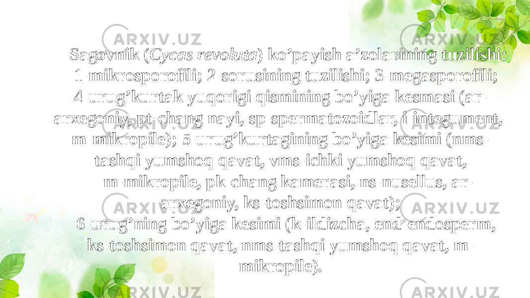 Sagovnik ( Cycas revoluta ) ko’payish a’zolarining tuzilishi: 1-mikrosporofili; 2-sorusining tuzilishi; 3-megasporofili; 4-urug’kurtak yuqorigi qismining bo’yiga kesmasi (ar- arxegoniy, pt-chang nayi, sp-spermatozoidlar, i-integument, m-mikropile); 5-urug’kurtagining bo’yiga kesimi (nms- tashqi yumshoq qavat, vms-ichki yumshoq qavat, m-mikropile, pk-chang kamerasi, ns-nusellus, ar- arxegoniy, ks-toshsimon qavat); 6-urug’ning bo’yiga kesimi (k-ildizcha, end-endosperm, ks-toshsimon qavat, nms-tashqi yumshoq qavat, m- mikropile). 