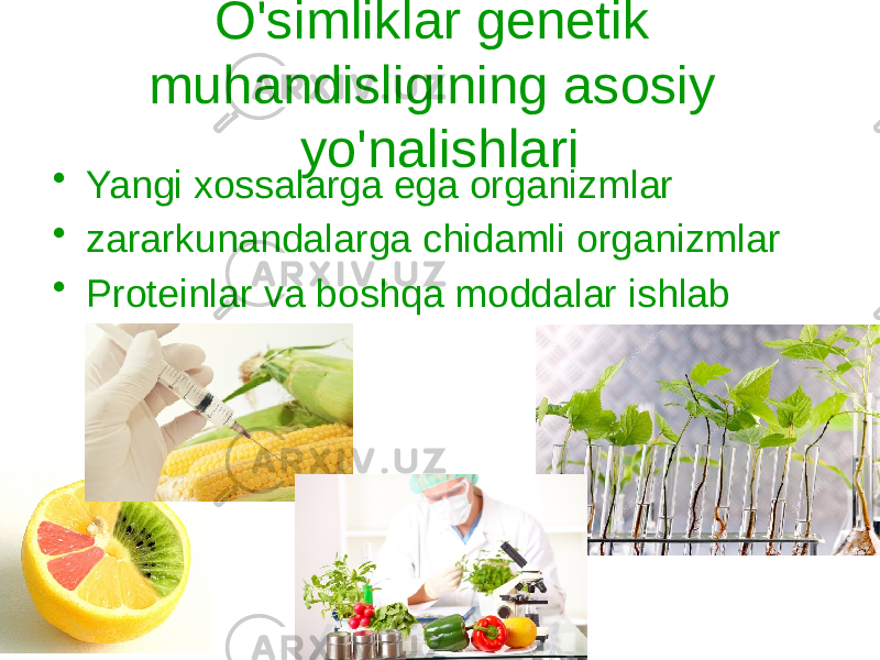 O&#39;simliklar genetik muhandisligining asosiy yo&#39;nalishlari • Yangi xossalarga ega organizmlar • zararkunandalarga chidamli organizmlar • Proteinlar va boshqa moddalar ishlab chiqaruvchilari 