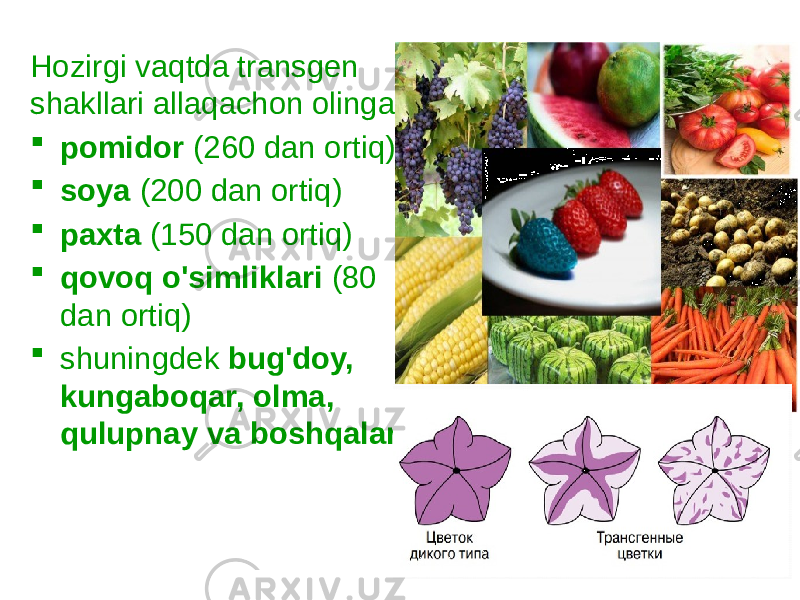 Hozirgi vaqtda transgen shakllari allaqachon olingan:  pomidor (260 dan ortiq)  soya (200 dan ortiq)  paxta (150 dan ortiq)  qovoq o&#39;simliklari (80 dan ortiq)  shuningdek bug&#39;doy, kungaboqar, olma, qulupnay va boshqalar. 