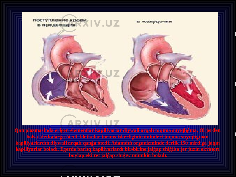 Qan plazmasinda erigen elementlar kapillyarlar diywali arqalı toqıma suyıqlıǵına, Ol jerden bolsa kletkalarǵa ótedi. kletkalar turmıs iskerliginiń ónimleri toqıma suyıqlıgınan kapillyarlardıń diywali arqalı qanǵa ótedi. Adamdıń organizminde derlik 150 mlrd ga jaqın kapillyarlar boladı. Egerde barlıq kapillyarlardı bir-birine jalǵap shiǵilsa jer juzin ekvatorı boylap eki ret jalǵap shıǵıw múmkin boladı. 