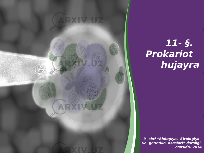 11- §. Prokariot hujayra 9- sinf “Biologiya. Sitologiya va genetika asoslari” darsligi asosida. 2014 