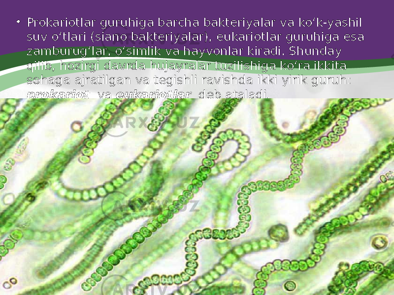 • Prokariotlar guruhiga barcha bakteriyalar va ko‘k-yashil suv o‘tlari (siano bakteriyalar), eukariotlar guruhiga esa zamburug‘lar, o‘simlik va hayvonlar kiradi. Shunday qilib, hozirgi davrda hujayralar tuzilishiga ko‘ra ikkita sohaga ajratilgan va tegishli ravishda ikki yirik guruh: prokariot va eukariotlar deb ataladi. 