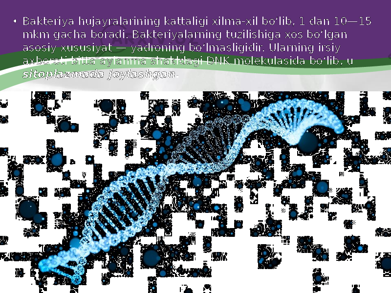 • Bakteriya hujayralarining kattaligi xilma-xil bo‘lib, 1 dan 10—15 mkm gacha boradi. Bakteriyalarning tuzilishiga xos bo‘lgan asosiy xususiyat — yadroning bo‘lmasligidir. Ularning irsiy axboroti bitta aylanma shakldagi DNK molekulasida bo‘lib, u sitoplazmada joylashgan . 