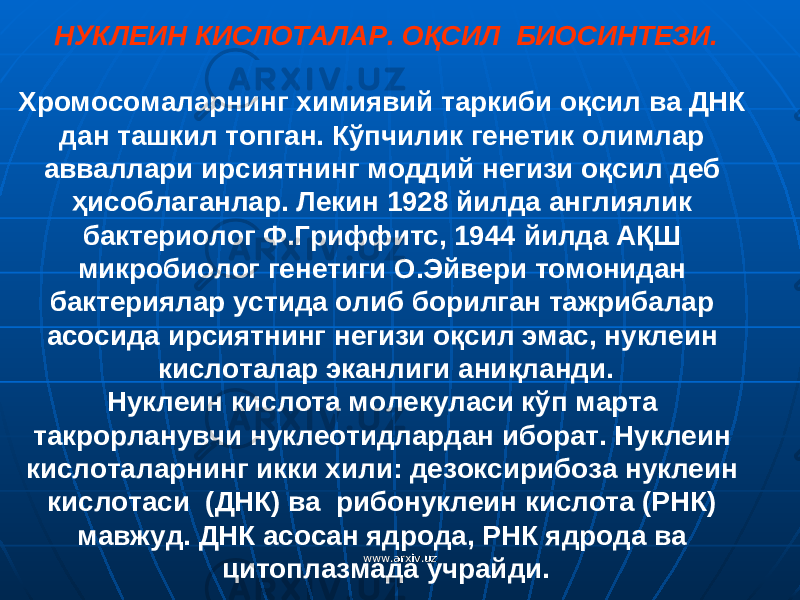 НУКЛЕИН КИСЛОТАЛАР. О Қ СИЛ БИОСИНТЕЗИ. Хромосомаларнинг химиявий таркиби оқсил ва ДНК дан ташкил топган. Кўпчилик генетик олимлар авваллари ирси ятнинг моддий негизи о қ сил деб ҳ исоблаганлар. Лекин 1928 йилда англиялик бактериолог Ф.Гриффитс, 1944 йилда А Қ Ш микробиолог генетиги О.Э й вери томонидан бактериялар устида олиб борилган тажрибалар асосида ирсиятнинг негизи о қ сил эмас, нуклеин кислоталар эканлиги ани қ ланди. Нуклеин кислота молекуласи к ў п марта такрорланувчи нуклеотидлардан иборат. Нуклеин кислоталарнинг икки хили : дезоксирибоза нуклеин кислотаси (ДНК) ва рибонуклеин кислота (РНК) мавжуд . ДНК асосан ядрода, РНК ядрода ва цитоплазмада учрайди. www.arxiv.uzwww.arxiv.uz 