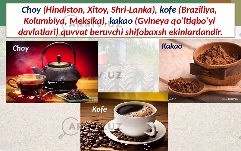Choy (Hindiston, Xitoy, Shri-Lanka), kofe (Braziliya, Kolumbiya, Meksika), kakao (Gvineya qo‘ltiqbo‘yi davlatlari) quvvat beruvchi shifobaxsh ekinlardandir. Choy Kofe Kakao 