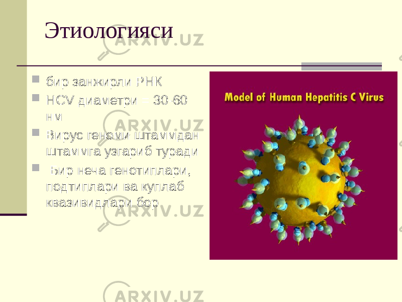 Этиологияси  бир занжирли РНК  HCV диаметри = 30-60 нм  Вирус геноми штаммдан штаммга узгариб туради  Бир неча генотиплари, подтиплари ва куплаб квазивидлари бор 