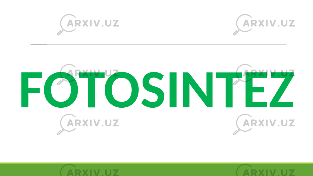 FOTOSINTEZ 